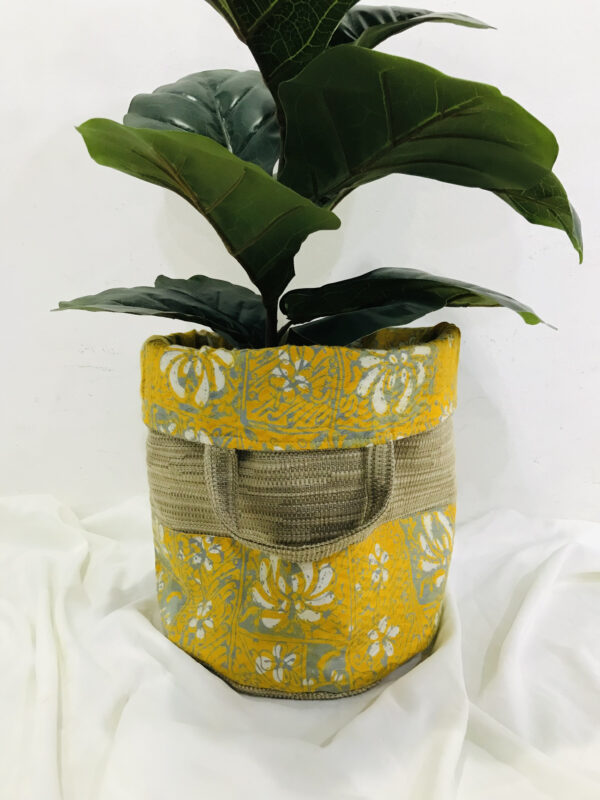 Plant cover