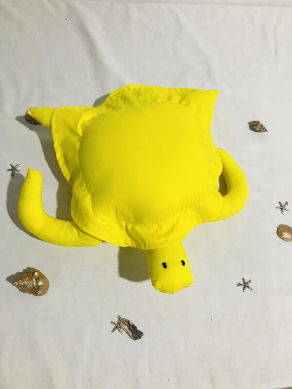 Turtle - Image 5